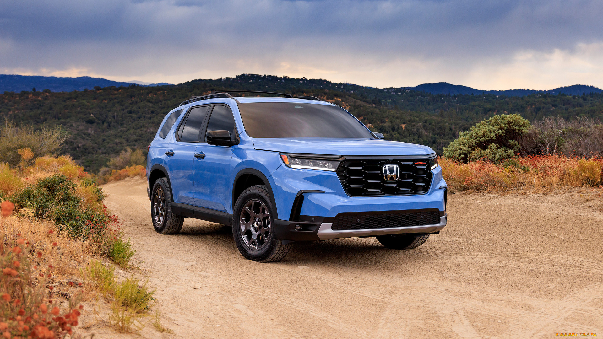 honda pilot trailsport 2023, , honda, pilot, trailsport, c, , 